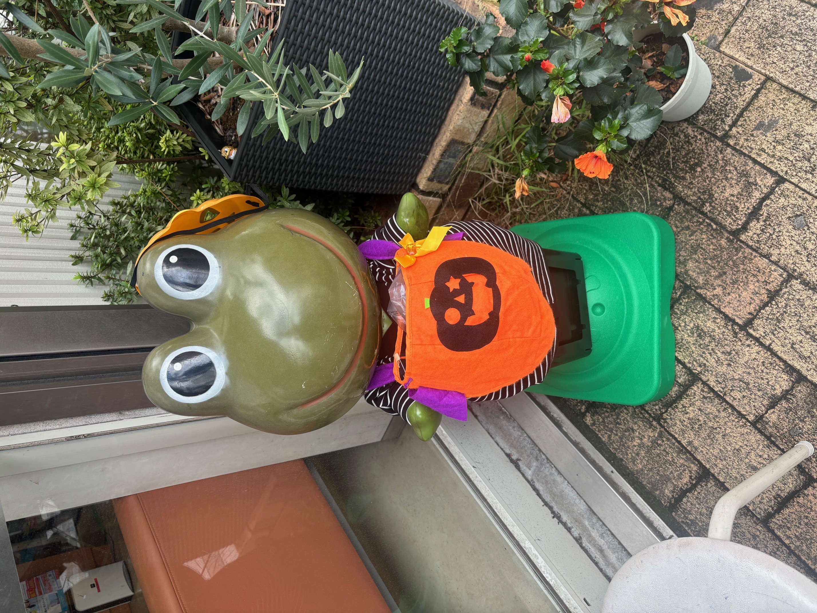 ハロウィンケロちゃんの写真1